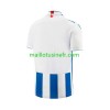 Maillot de Foot Heerenveen Domicile 2023-24